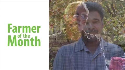 Thumbnail for FOTM - Persimmons (CHC) 