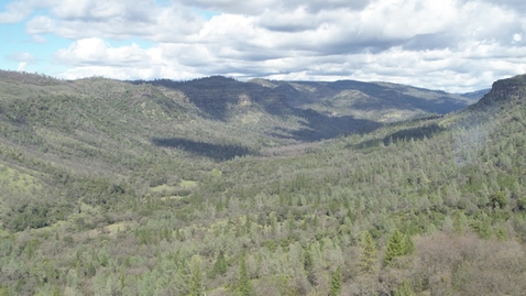 Thumbnail for Statements - BCCER