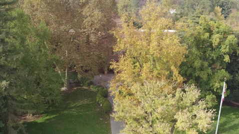 Thumbnail for Explore the Best of Chico Living