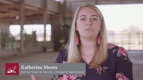 Thumbnail for Animal Science Recruiting Video 2022 - Short Version