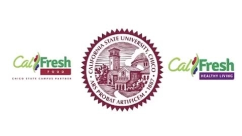 Thumbnail for CFO CF 101 3-Can Chili