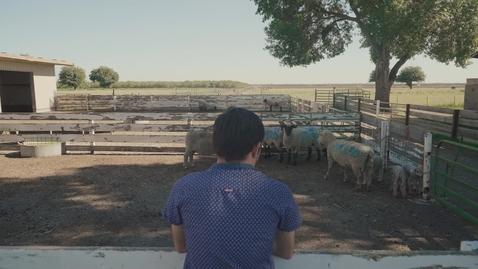 Thumbnail for Chico Statements - Emmanuel Lopez