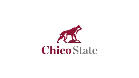 Thumbnail for HOW TO HIGHLIGHT 2025