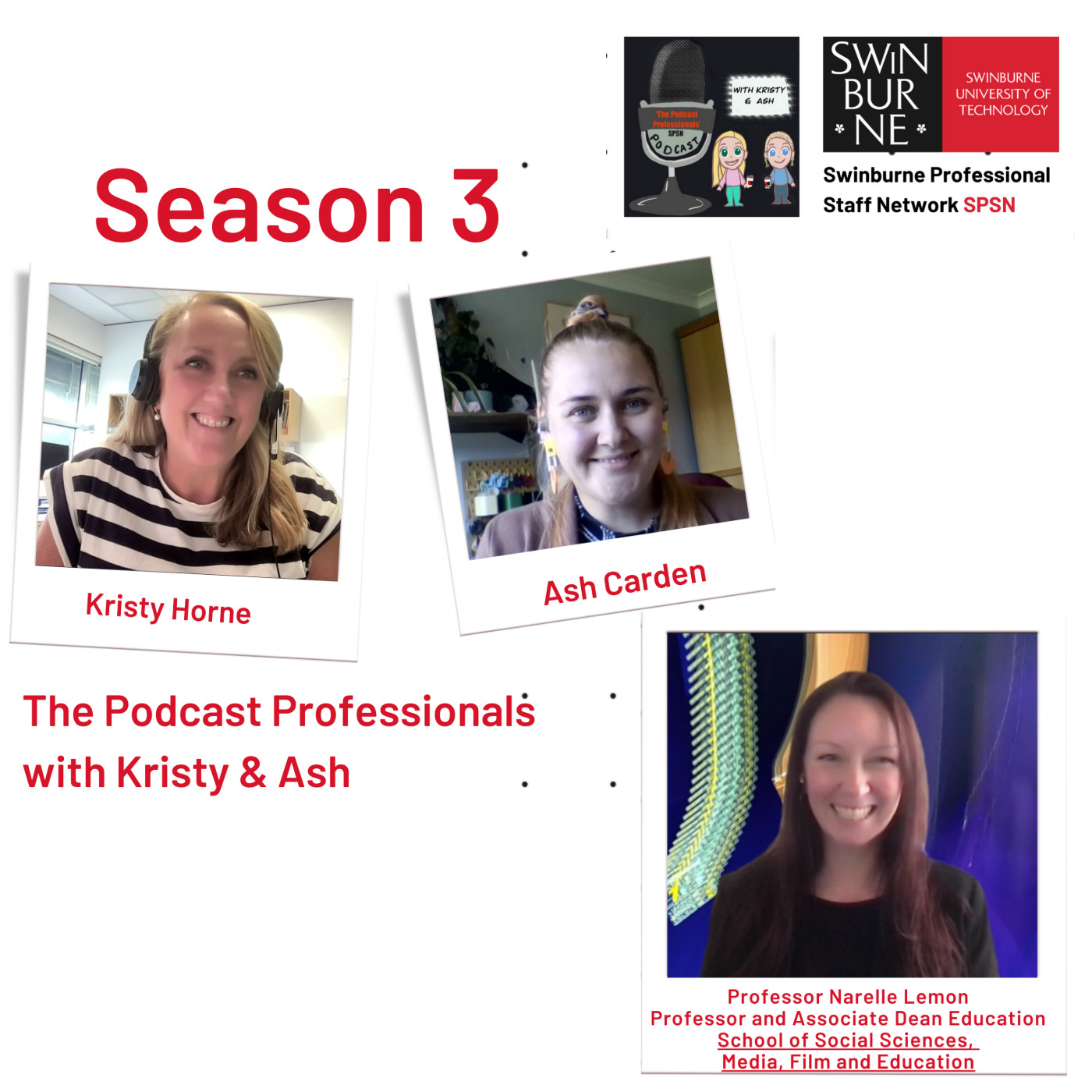 Episode 15: Melting the Internet and Featuring VIP Guest Prof Narelle Lemon episode artwork