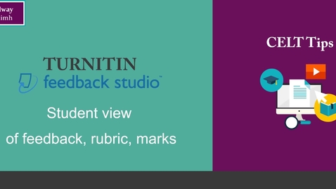 Thumbnail for entry Turnitin: student view of feedback studio