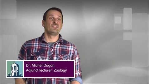 Thumbnail for entry Teaching Expert Michel Dugon