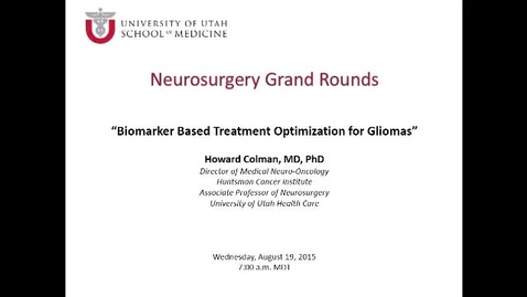 Thumbnail for Biomarker Based Treatment Optimization for Gliomas