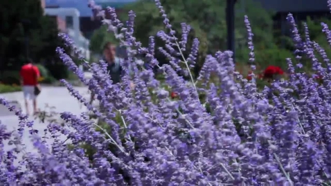 Thumbnail for U of U Biomedical Informatics: General Overview