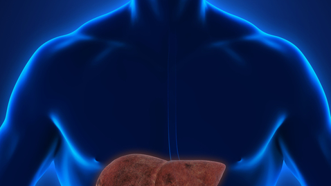 Thumbnail for Could You Have Fatty Liver Disease?