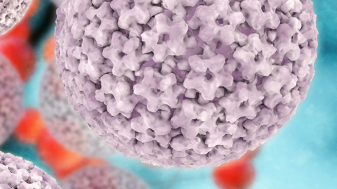 Thumbnail for How Are HPV and Head and Neck Cancer Related?