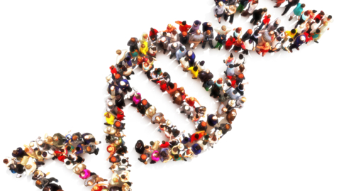 Thumbnail for Will Personalized Medicine Improve Population Health?