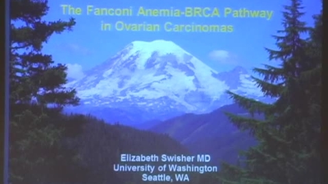 Thumbnail for Gynecologic cancer symposium - part 1