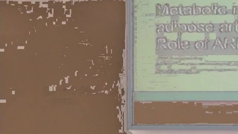 Thumbnail for Metabolic Implications of adipose arterial function