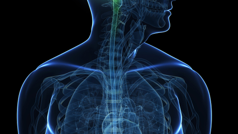 Thumbnail for What is ALS?