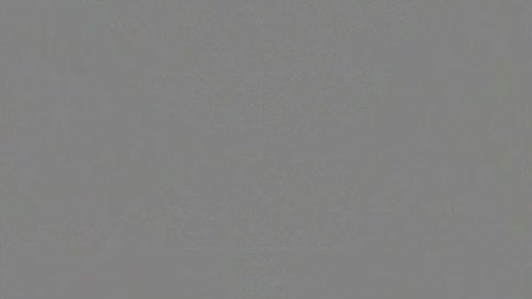 Thumbnail for Incidence, Management, &amp; Outcomes of Renal Colic during Pregnancy