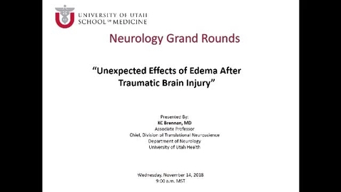 Thumbnail for Unexpected Effects of Edema after Traumatic Brain Injury