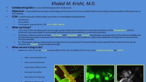 Thumbnail for In vivo cerebrovascular characterization of CCM in a mouse model