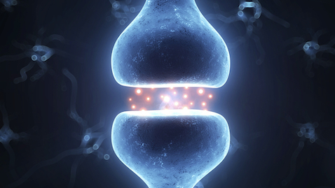 Thumbnail for Do-It-Yourself Deep Brain Stimulation—Good or Bad Idea?