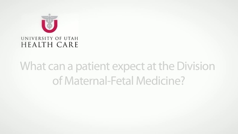 Thumbnail for What can a patient expect at the Division of Maternal-Fetal Medicine?