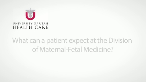 Thumbnail for entry What can a patient expect at the Division of Maternal-Fetal Medicine?