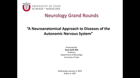 Thumbnail for Cognitive Functioning in Patients Being Evaluated for DBS Surgery