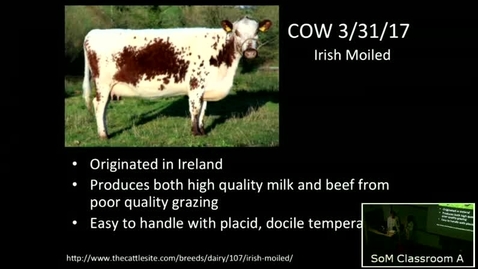 Thumbnail for 3/31/17 Psychocutaneous Disease for the Novice Dermatologist