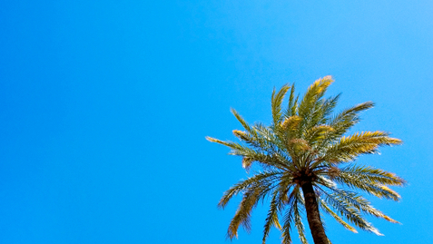 Thumbnail for An ER Doctor’s First-Aid Kit for a Deserted Island