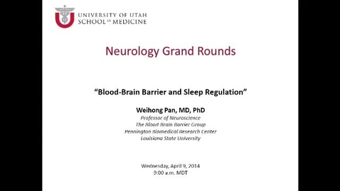 Thumbnail for Blood-Brain Barrier and Sleep Regulation