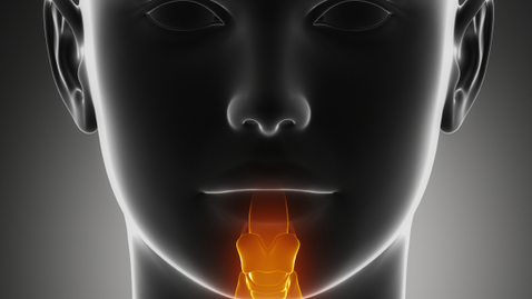 Thumbnail for Head and Neck Cancer Caused by HPV: What it Means for You