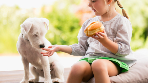 Thumbnail for Does Early Pet Exposure Help with Allergies Down the Road?