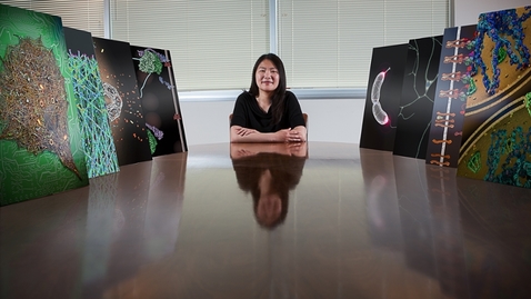 Thumbnail for Can Scientific Animations Lead to New Discoveries?