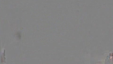 Thumbnail for Teratology for the clinician: assessing risk