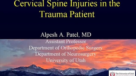 Thumbnail for Cervical Spine Injuries in the Trauma Patient August 21, 2009