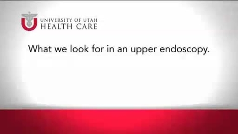 Thumbnail for What We Look for in an Upper Endoscopy