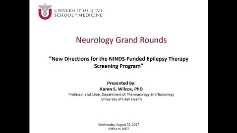 Thumbnail for New Directions for the NINDS-Funded Epilepsy Therapy Screening Program
