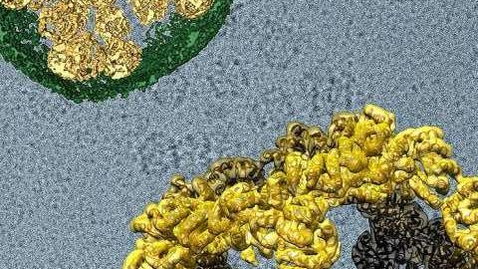 Thumbnail for Building a Microscopic Delivery System