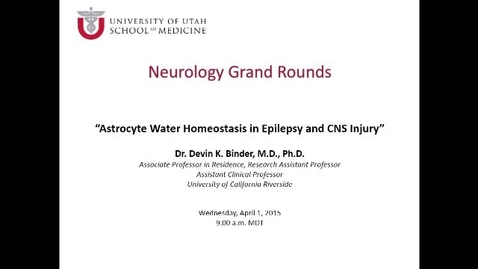 Thumbnail for Astrocyte Water Homeostasis in Epilepsy &amp; CNS Injury