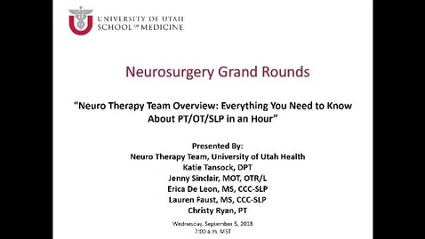 Thumbnail for Neuro Therapy Team Overview: Everything You Want to Know About PT/OT/SP in an Hour