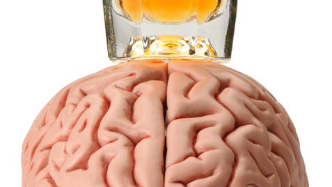 Thumbnail for U of U Scientists Discover Brain Region Responsible for Resisting Alcohol’s Allure