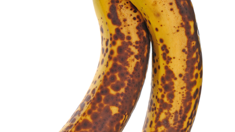 Thumbnail for How Long Should You Keep Fruits &amp; Veggies?