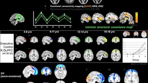 Thumbnail for Neurology-TNSH