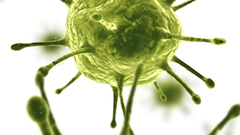 Thumbnail for How Viruses Evolve to Outsmart Our Defenses