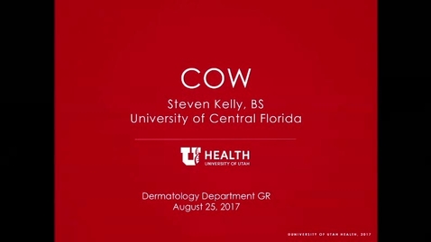 Thumbnail for 8/25/17 Understanding and Overcoming Unconscious Bias