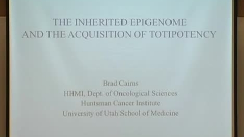 Thumbnail for The inherited epigenome &amp; the acquisition of totipotency
