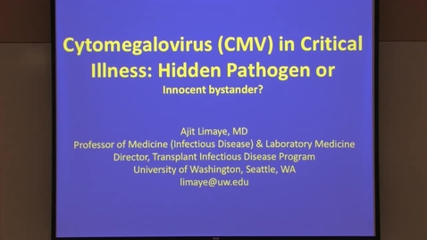 Thumbnail for Cytomegalovirus (CMV) in critical illness: hidden pathogen or innocent bystander?