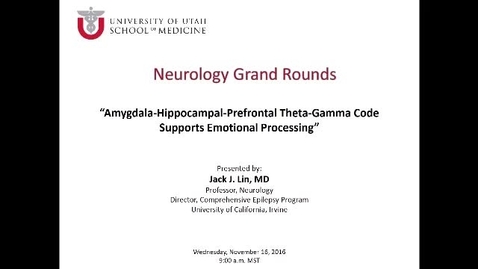 Thumbnail for Amygdala-hippocampal-prefrontal Theta-Gamma Code Supports Emotional Processing