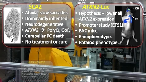 Thumbnail for entry Therapies for spinocerebellar ataxia type 2 (SCA2)