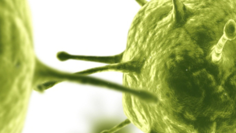 Thumbnail for Heart Drug Could Be Basis for New Treatment Against Epstein Barr Virus, Herpes Viruses