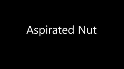 Thumbnail for Foreign Body - Nut