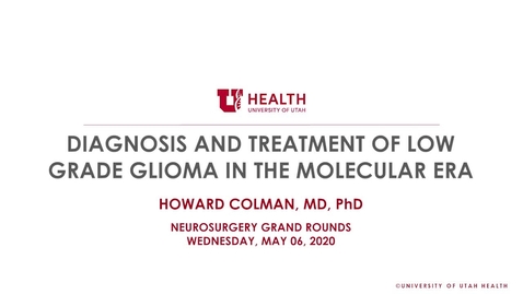 Thumbnail for Diagnosis and Treatment of Low Grade Glioma in the Molecular Era